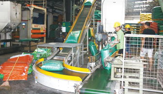 銷量再創(chuàng)新高，躍居順德膨化料單廠第二——健康飼料專家戰(zhàn)略布局引領(lǐng)水產(chǎn)品養(yǎng)殖新篇章