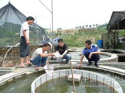 保障市民餐桌安全 我市開展養(yǎng)殖水產(chǎn)品及水產(chǎn)苗種藥物殘留抽檢工作