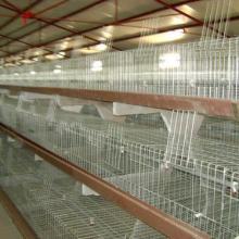 獲嘉縣振華牧業(yè)設(shè)備廠助力水產(chǎn)品養(yǎng)殖發(fā)展