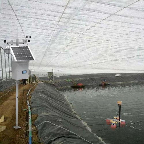 水產(chǎn)養(yǎng)殖監(jiān)測(cè)系統(tǒng) 現(xiàn)代水產(chǎn)品養(yǎng)殖的智慧守護(hù)者