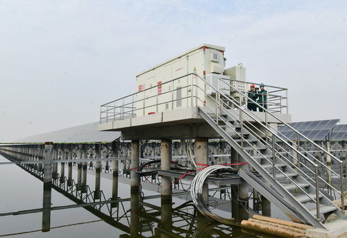 河北滄州 新能源裝機(jī)容量突破千萬(wàn)千瓦大關(guān) 水產(chǎn)品養(yǎng)殖開(kāi)啟綠色轉(zhuǎn)型新篇章